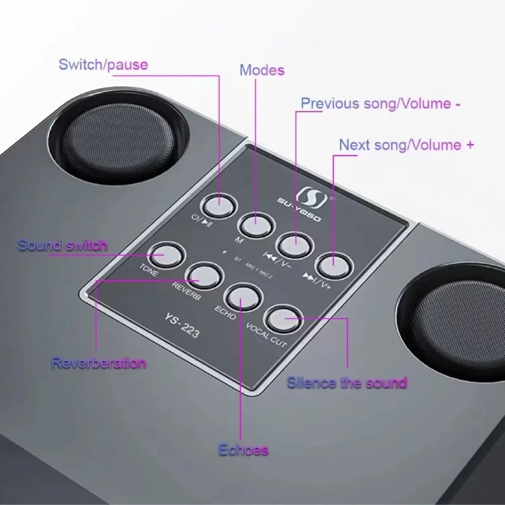 ポータブルBTスピーカー、ワイヤレスマイク2本付きカラオケマ - Audio Music Kids のレビューと価格